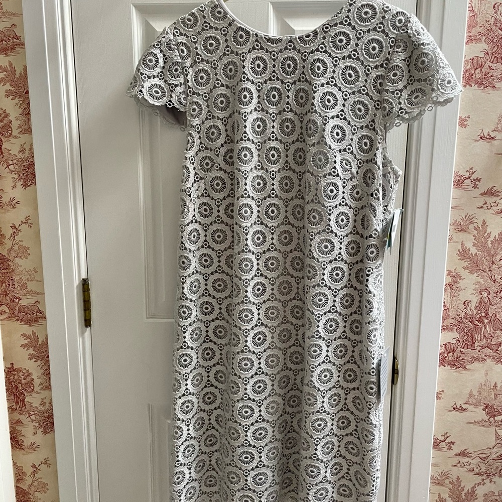 Silver lace, above the knee, NWT, dress, Size 14.